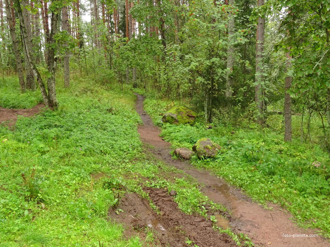 Природа Валаамских островов