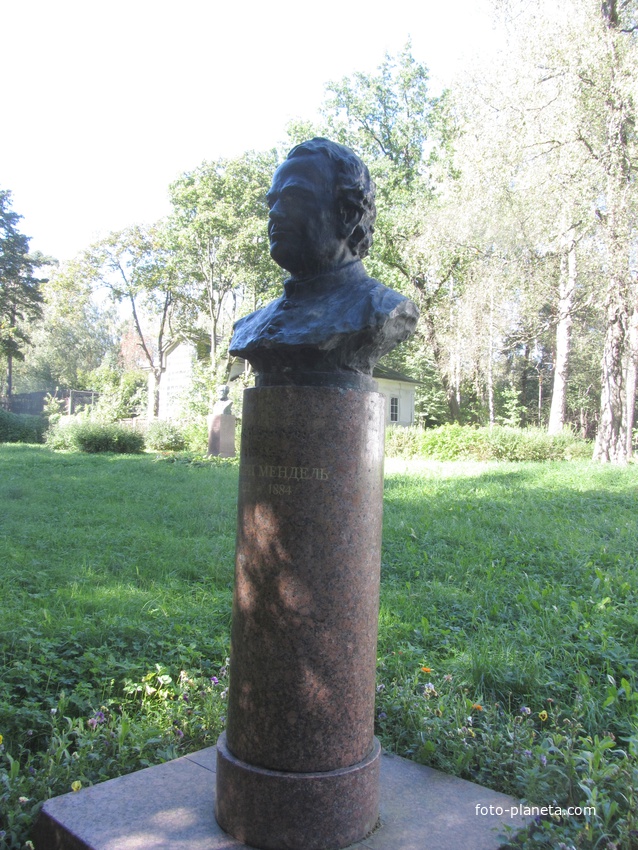 Памятник-бюст Г. Менделю