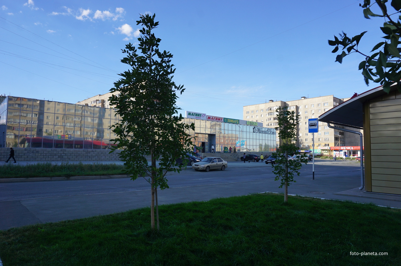 На улице Пацаева.