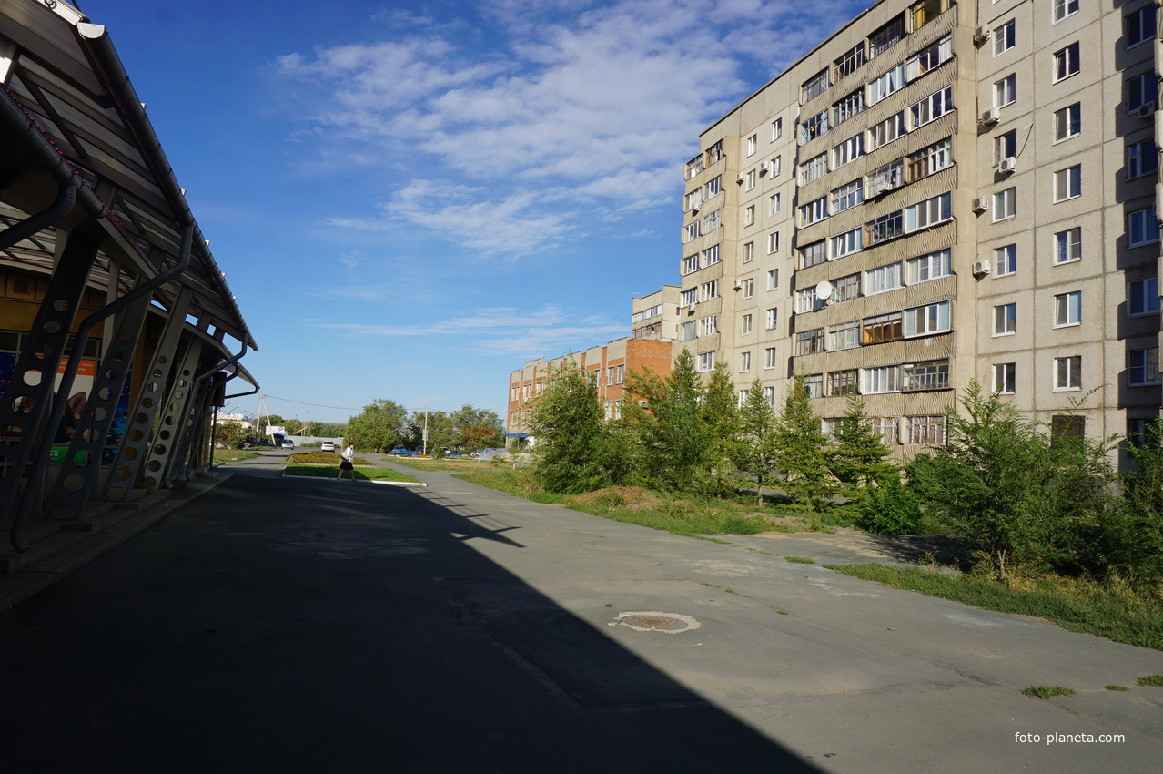 На улице Пацаева.