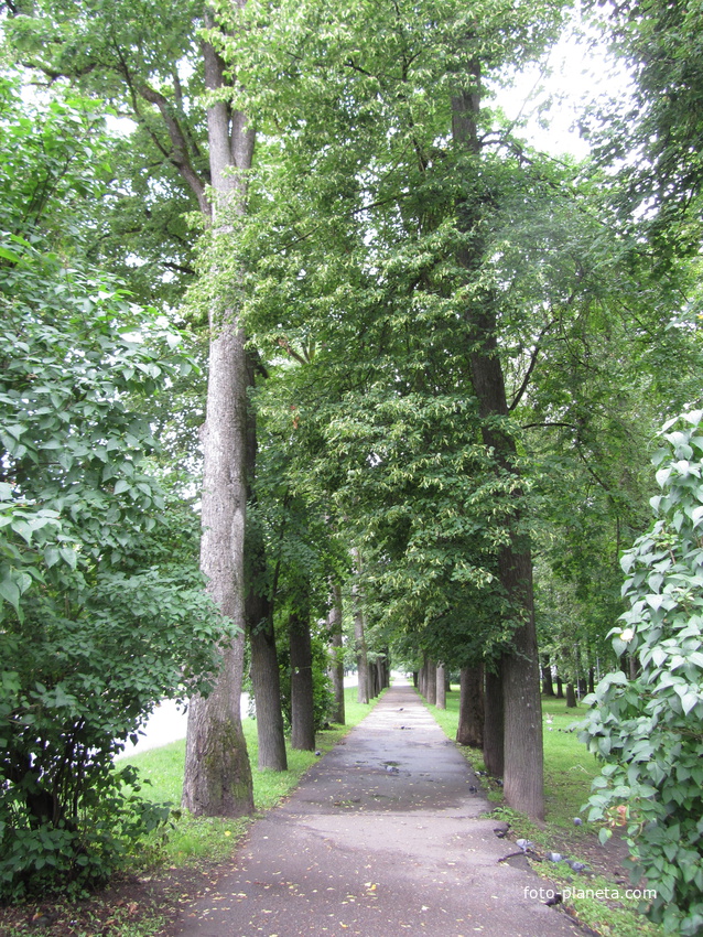 Нарва, район Кренгольма,  парк рядом с ДК