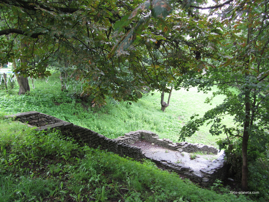 S. Lavretsovi, Нарва