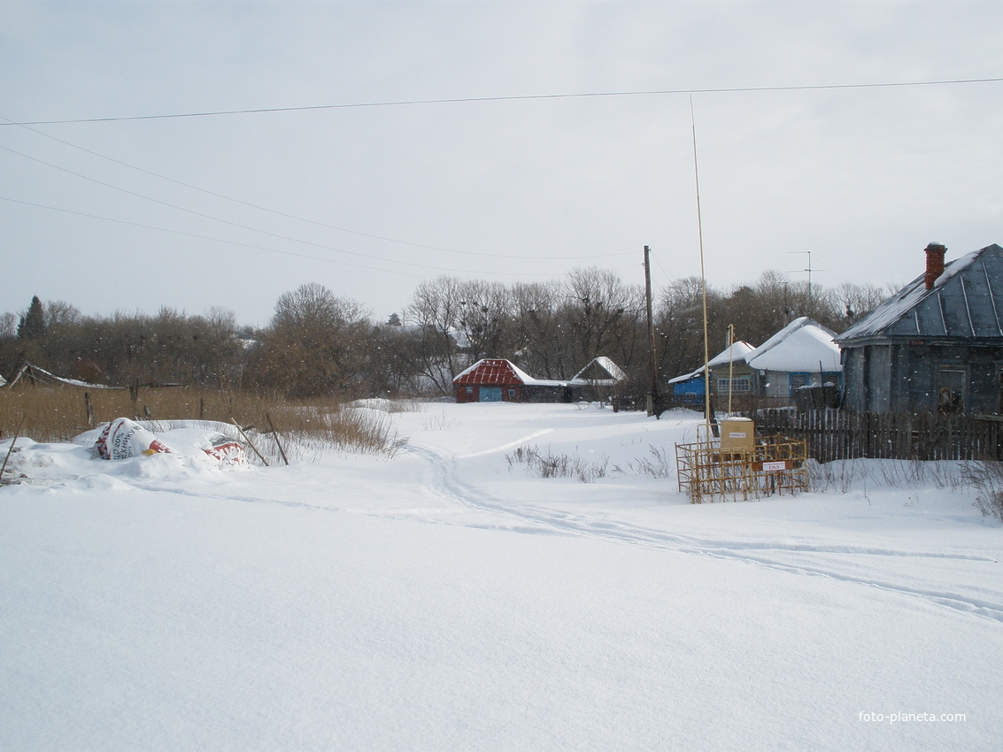 Село Телятино (Каменский район) 2013 зима