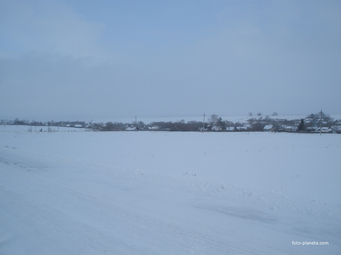 Село Телятино (Каменский район) 2013 зима