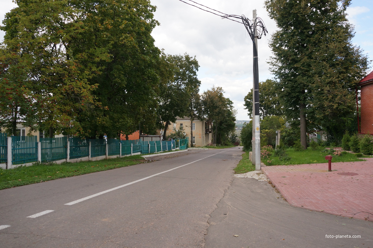 Пушкинская улица