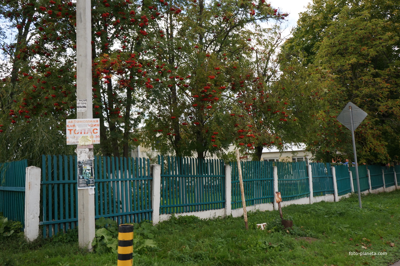 Дом престарелых