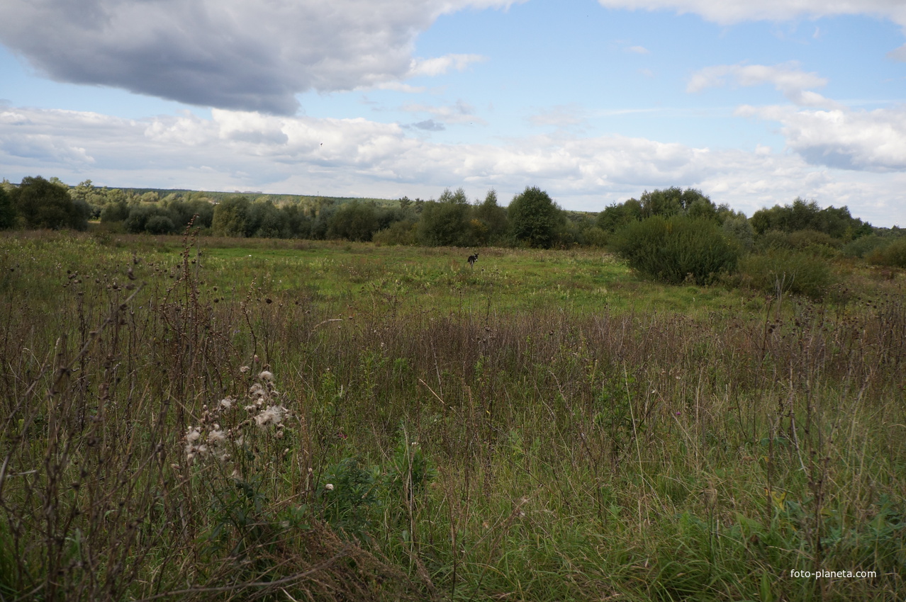 Долина реки Оки