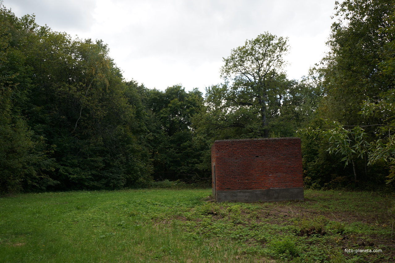 Участок в лесу