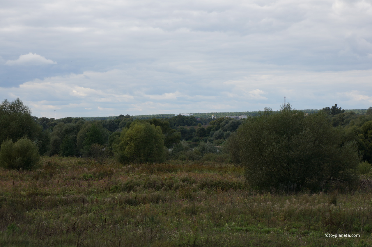 Вид на Лужники