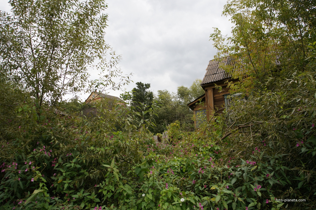 Пушкинский переулок