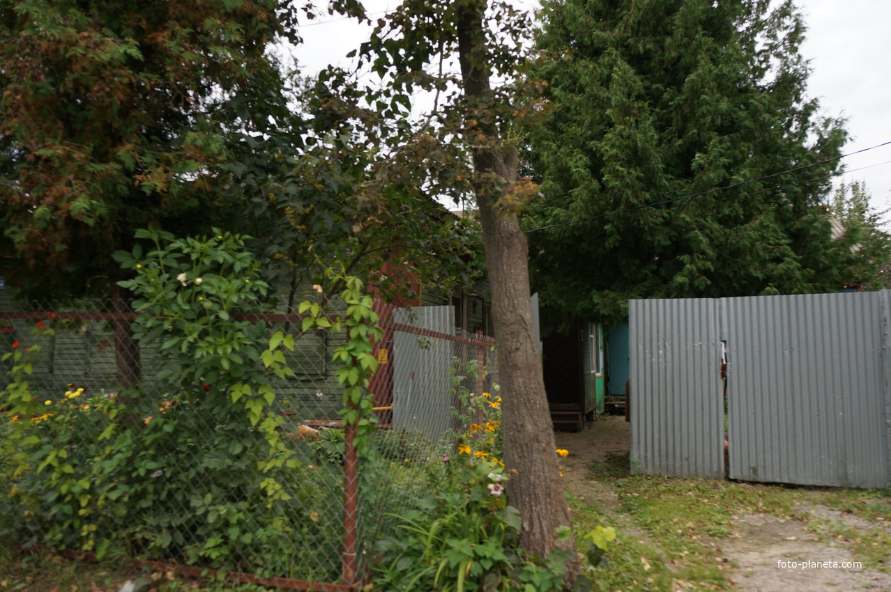 Пушкинская улица