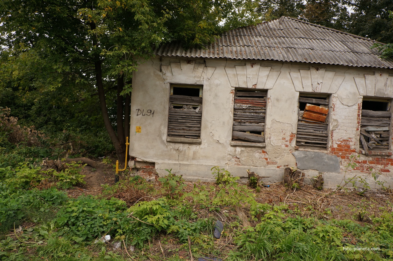 Пушкинская улица