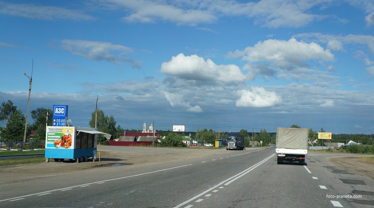 Гусь-Железный