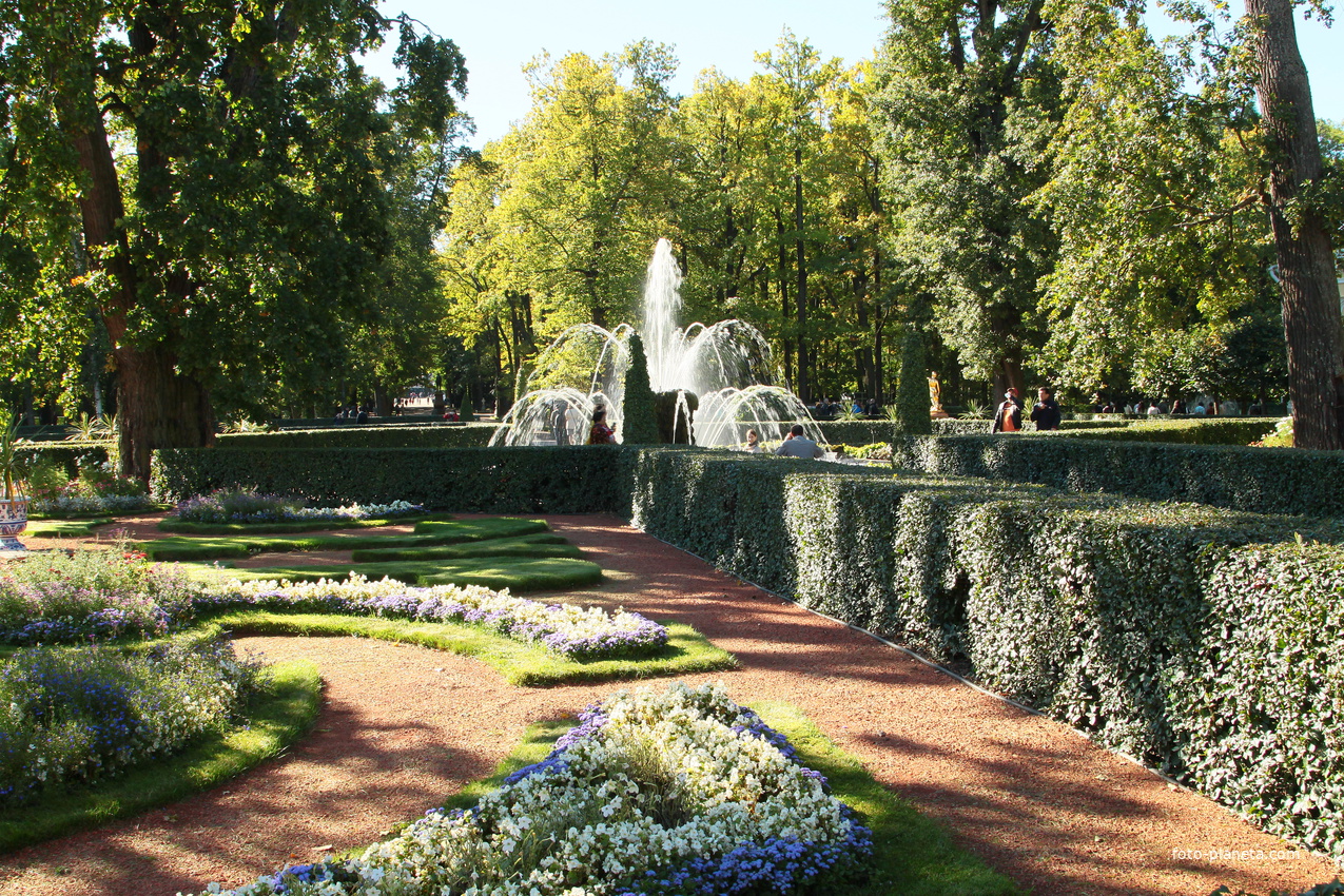 Сад дворца Монплезир
