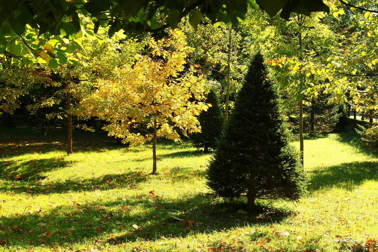 Нижний парк