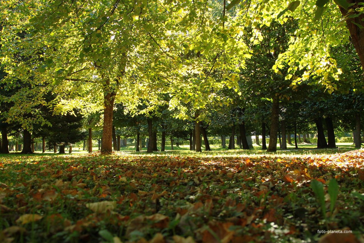 Нижний парк