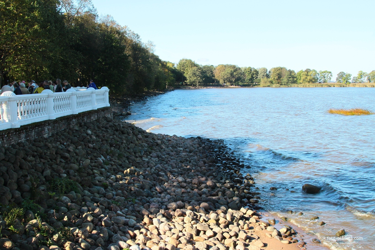 Финский залив