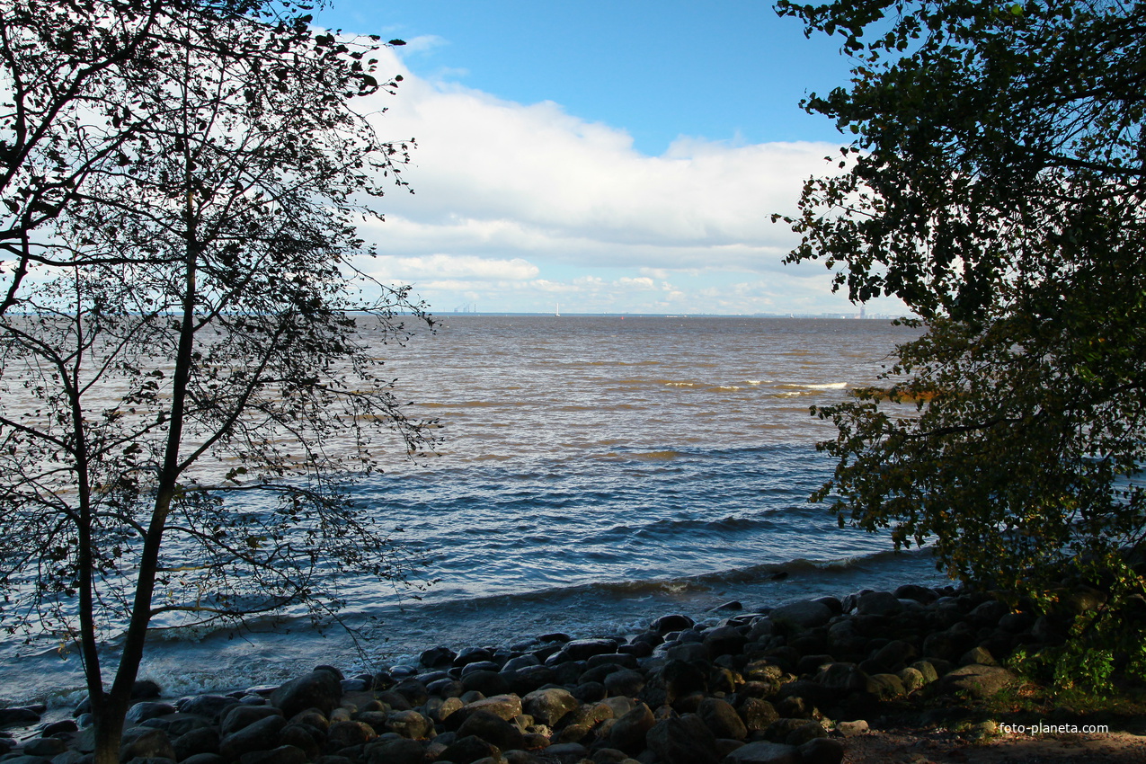 Финский залив