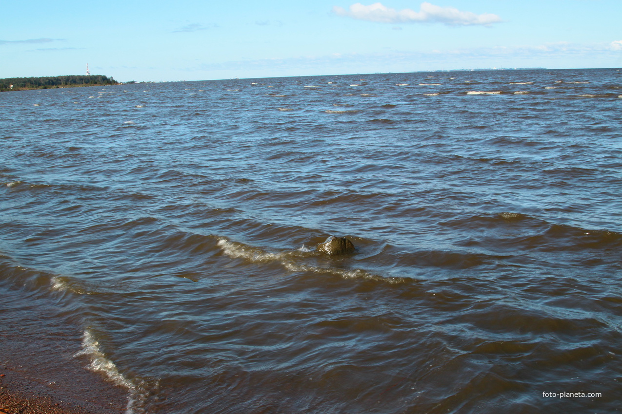 Финский залив