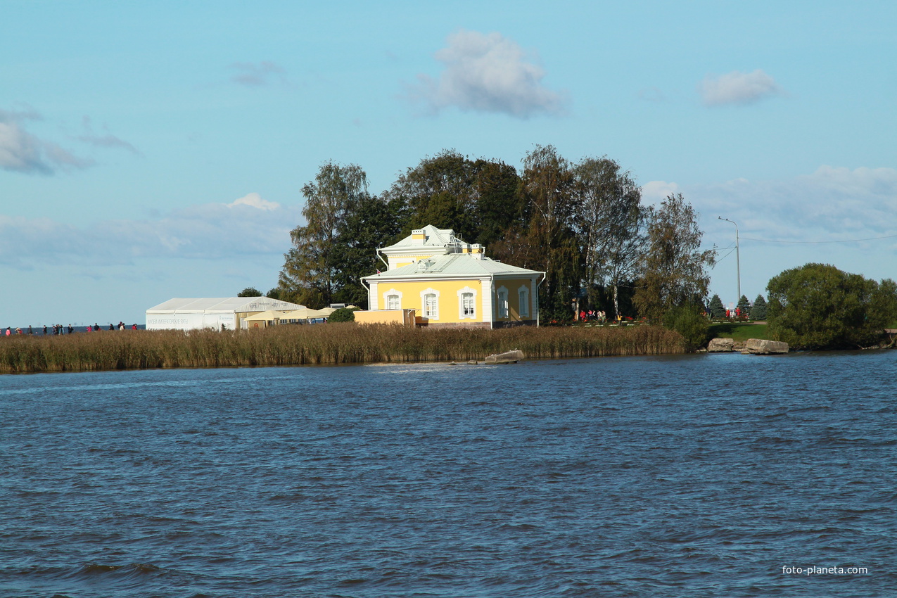 Берег Финского залива