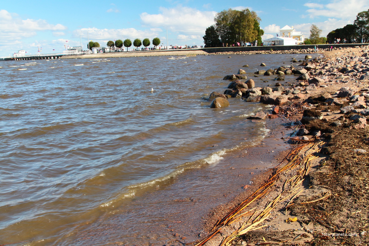 Берег Финского залива