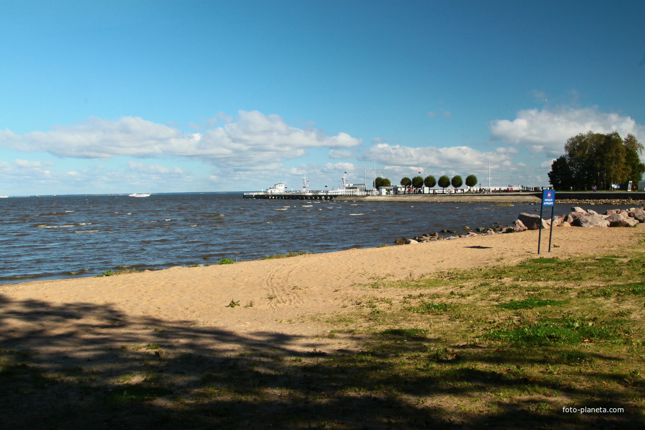 Берег Финского залива