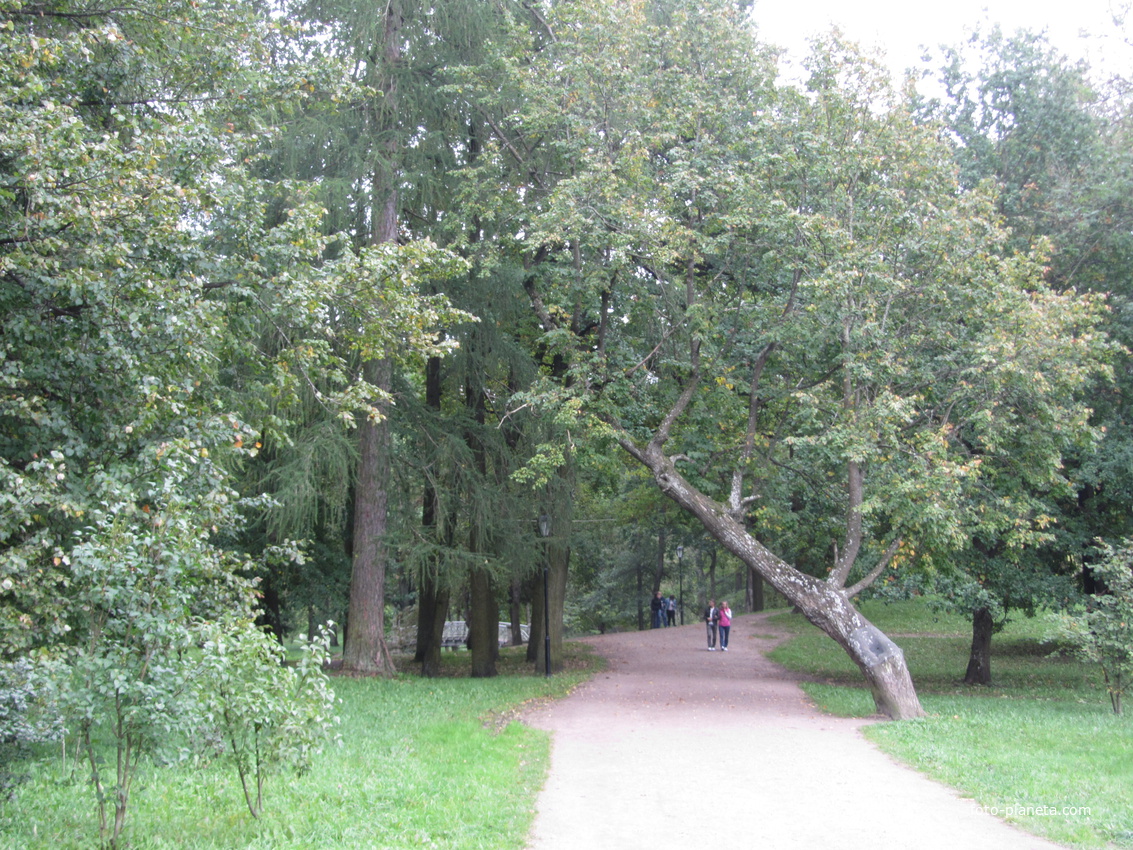 В дворцовом парке Гатчины