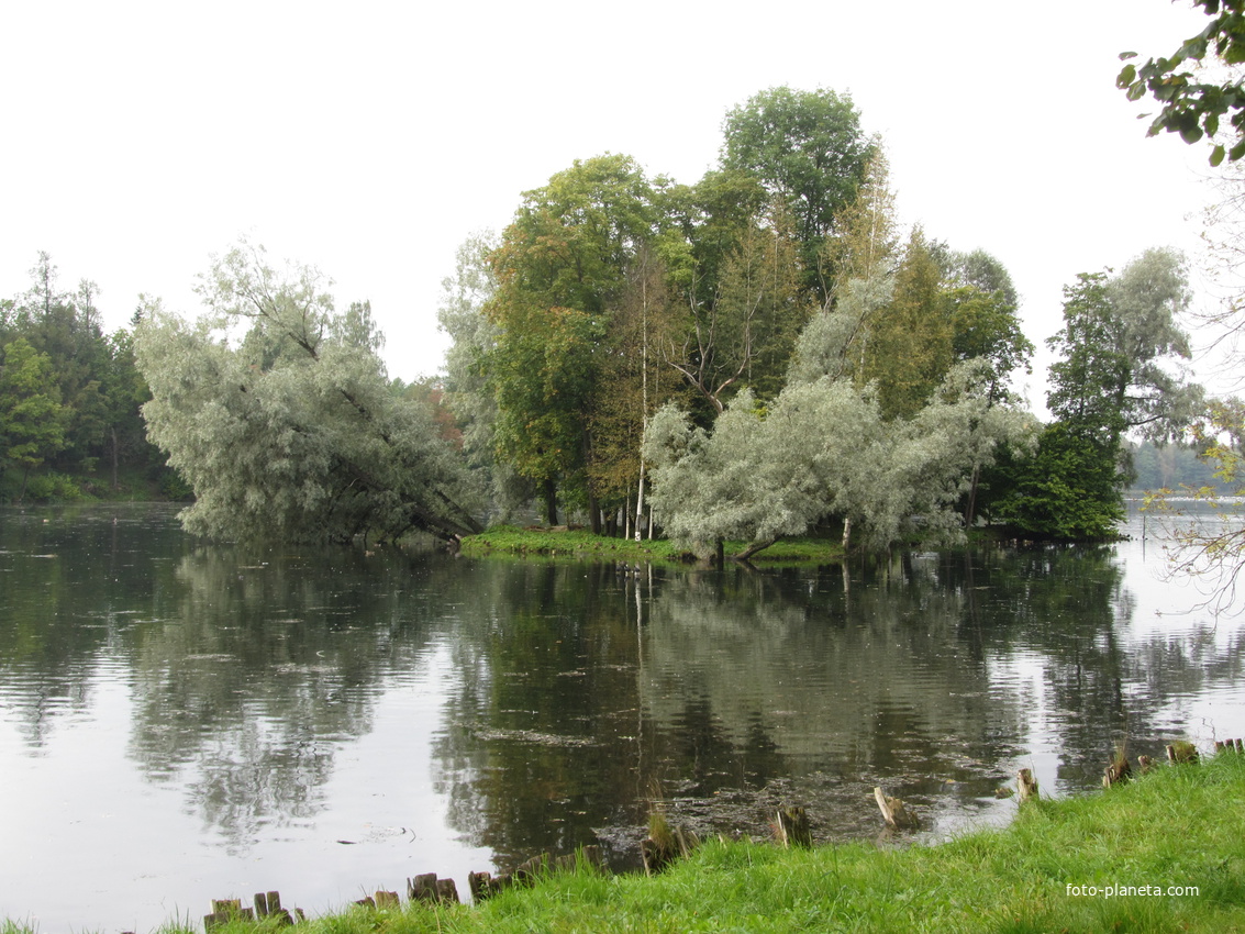 Природа в дворцовом парке Гатчины