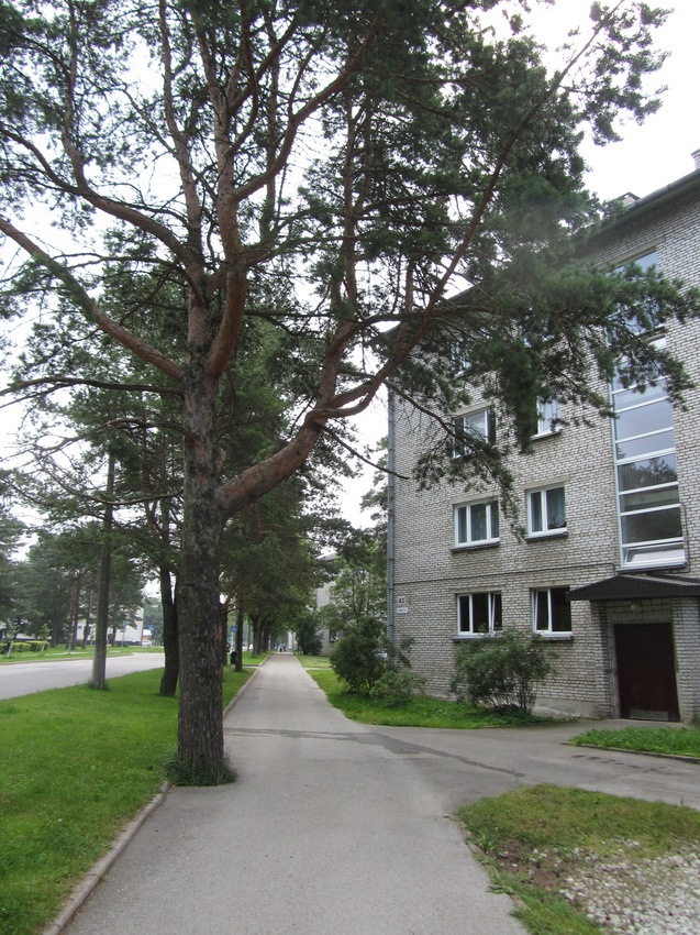 ул.  V. Tškalovi, Силламяэ