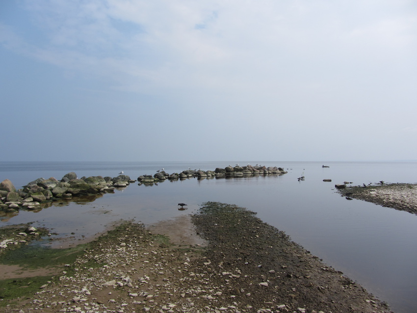 впадение реки Сытке в Финский залив