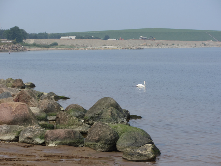 берег Финского залива в Силламяэ, вид на пассажирский порт