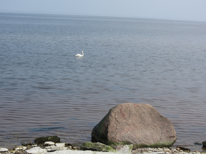 берег Финского залива в Силламяэ