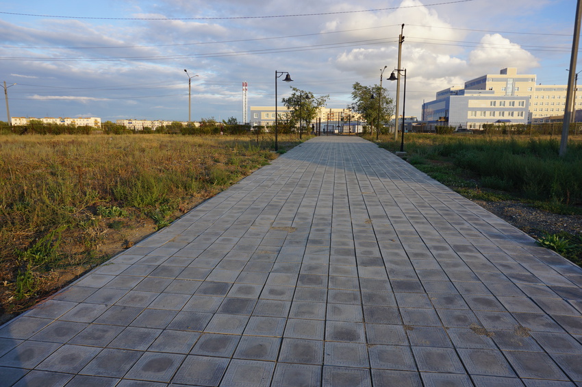 В парке северный.