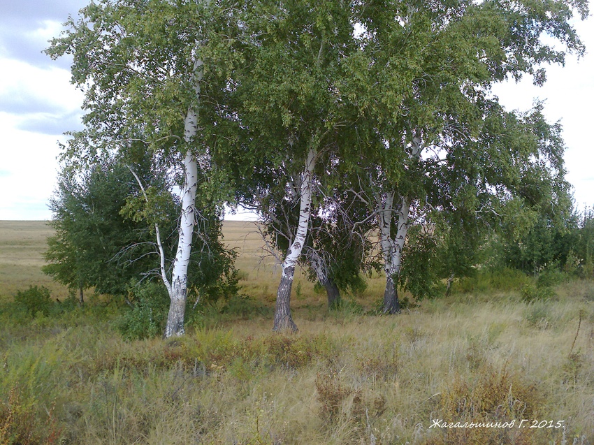 Пейзажи Карабутака.