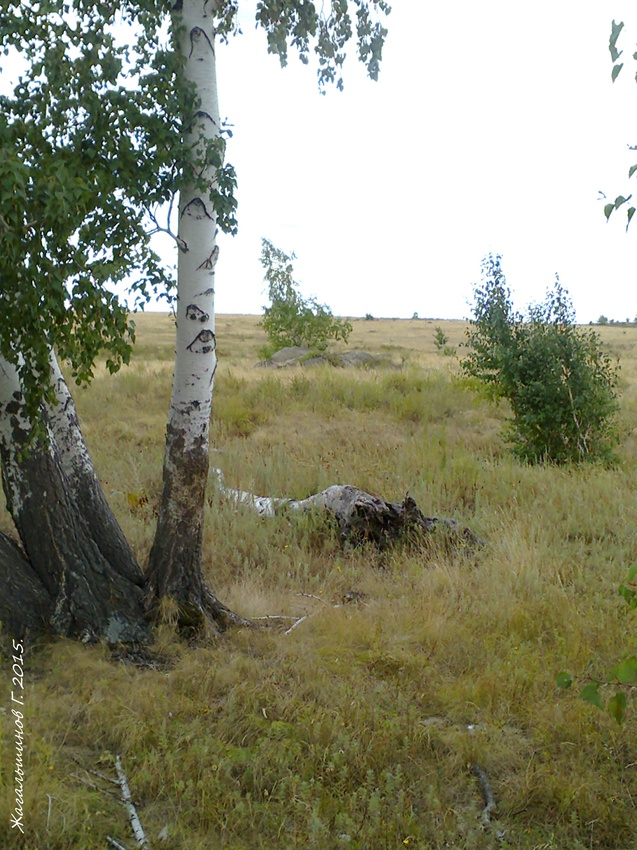 Пейзажи Карабутака.