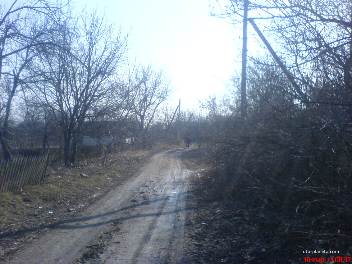 Дорога серед хат с.попівка