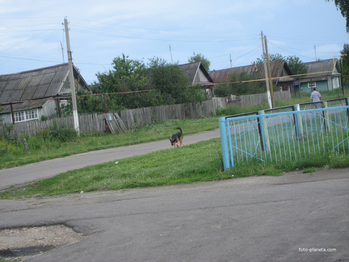 Главная улица Высокого Колка