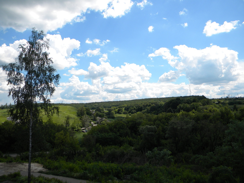 Вид на село Черемошное
