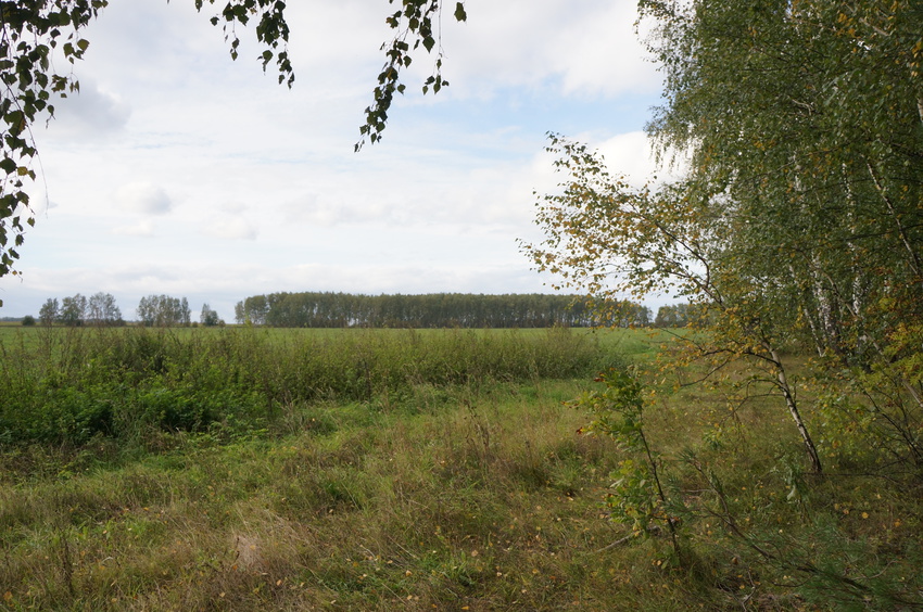 Природа Белыхино