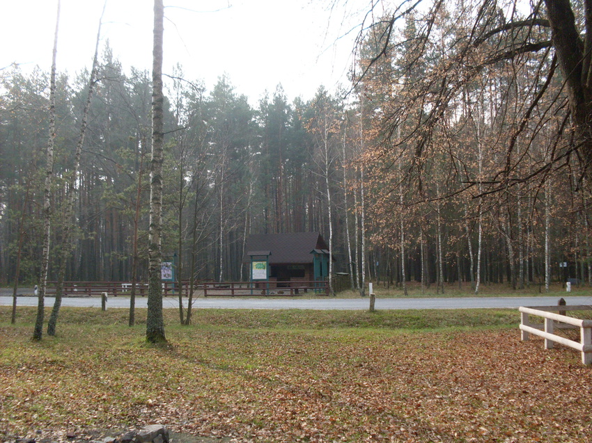 Баранівський ліс