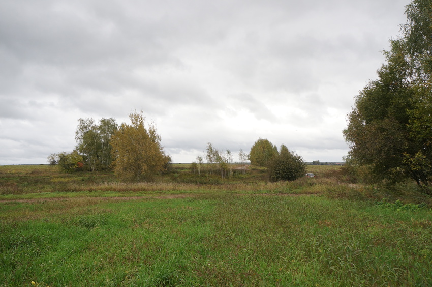 Природа Белыхино, осень 2016