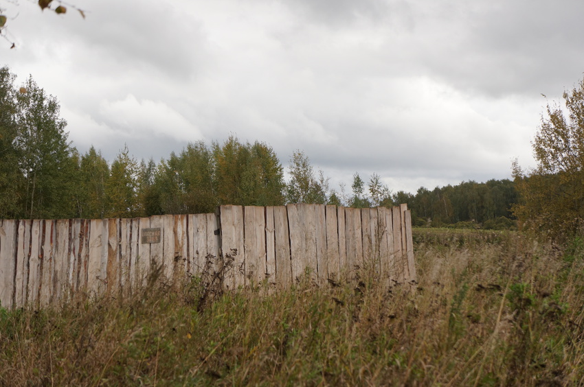 Природа Белыхино, осень 2016