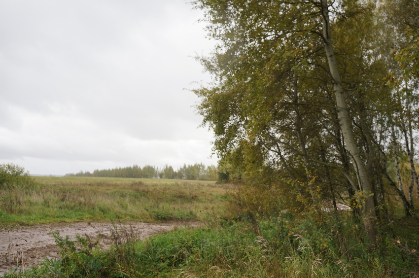 Природа Белыхино, осень 2016