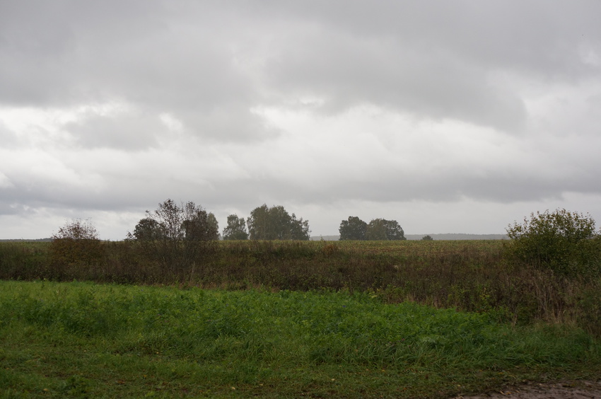 Природа Белыхино, осень 2016