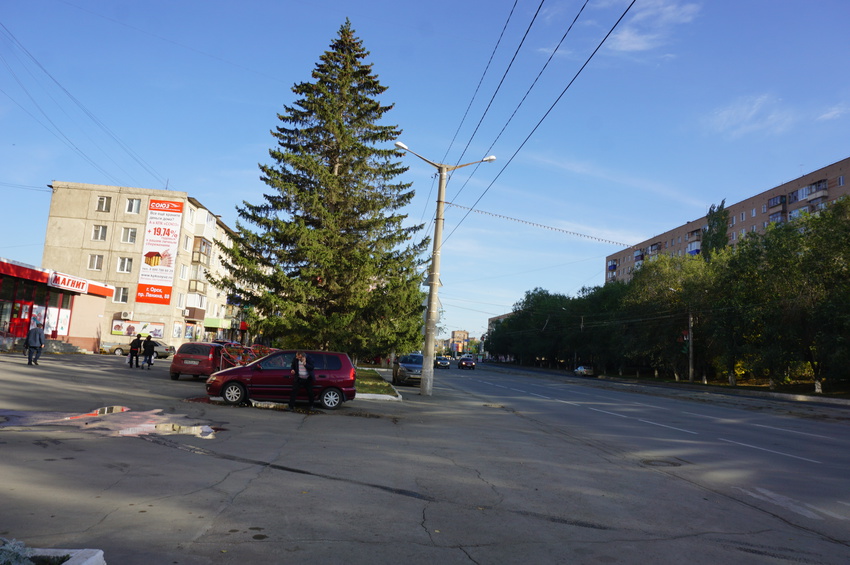 На улице Макаренко.
