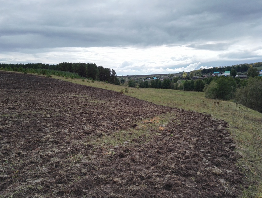 Алтаево. Сентябрь-2016