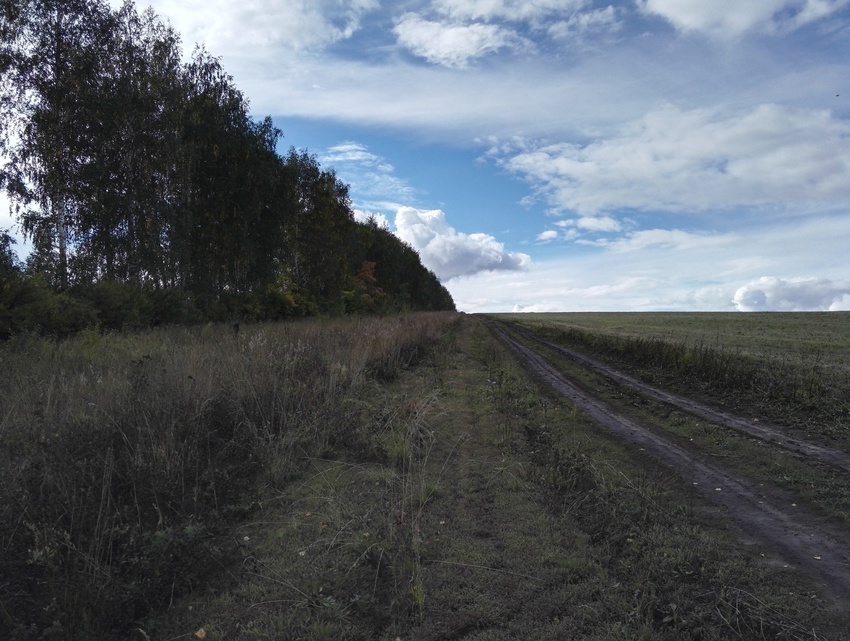 Окрестности Алтаево