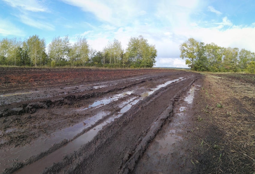 Окрестности Алтаево