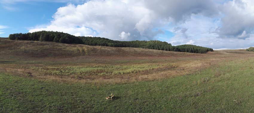 Окрестности Алтаево