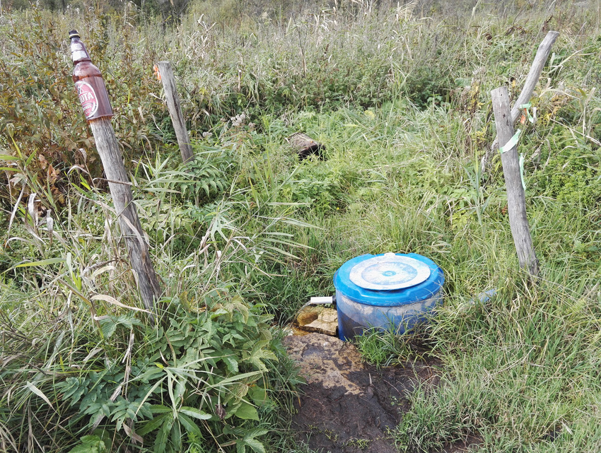 Родник в Алтаево